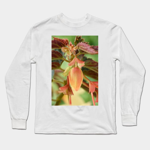 Begonia bud Long Sleeve T-Shirt by chrisburrows